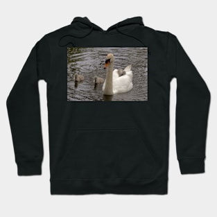 Swan family Hoodie